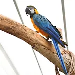 Trullo Barbagiullo ベッド・アンド・ブレックファスト チステルニーノ