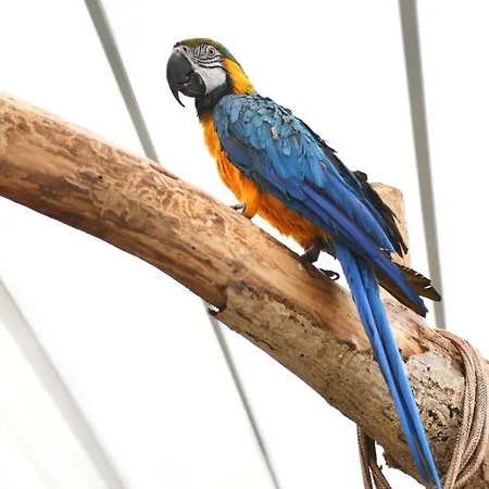 Trullo Barbagiullo Bed and Breakfast Cisternino