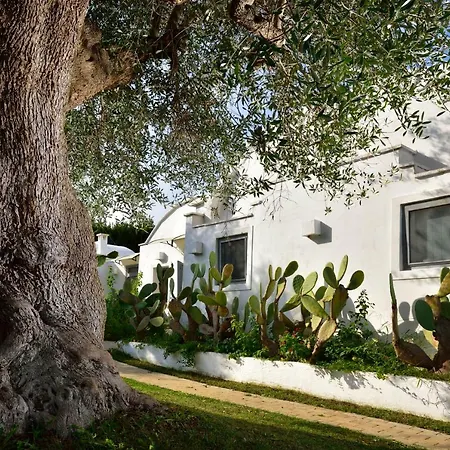 Trullo Barbagiullo 3* チステルニーノ