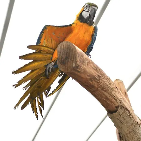 Bed and Breakfast Trullo Barbagiullo 3*